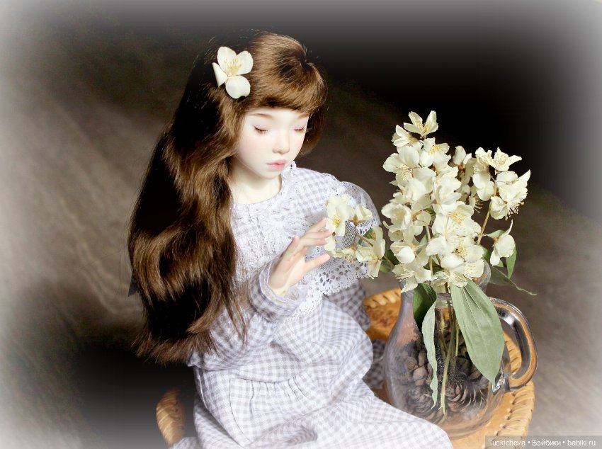 Файлин и Жасминовые Заметки