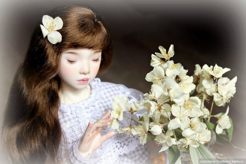 Файлин и Жасминовые Заметки