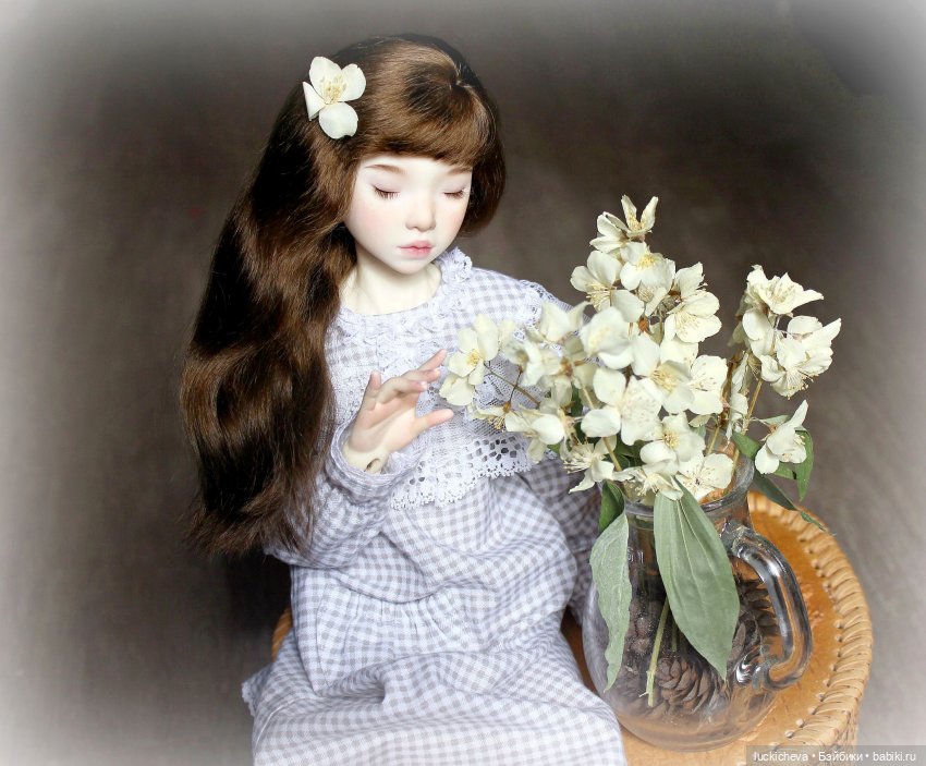 Файлин и Жасминовые Заметки