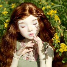 Файлин и Летние Заметки