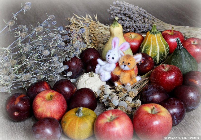 Зайчонок и Лисёнок собрали урожай (фото 4)