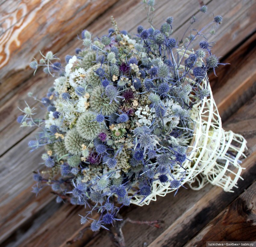 Файлин и Гербарии Чародейки. Эрингиум (фото 8)