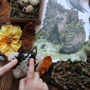 О любимом Учителе замолвите слово