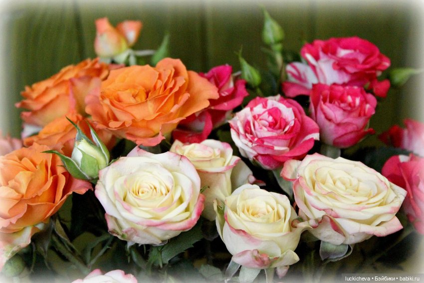 Файлин и осенние розы — Гибридизация кукол BJD (БЖД): пересадка головы