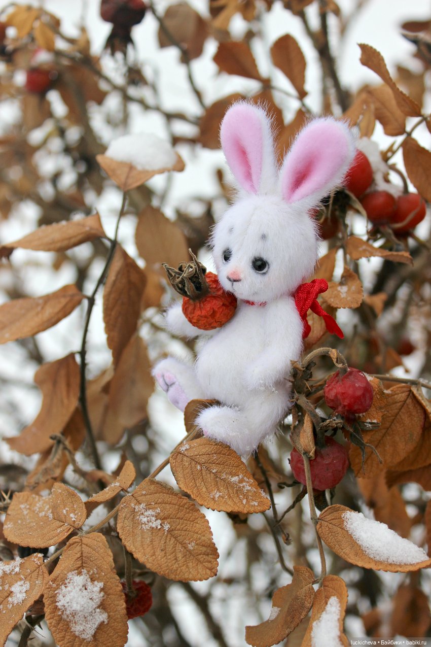 Зайчонок и Лисёнок встречают свою первую зиму | Бэйбики Зайчонок и Лисёнок встречают свою первую зиму