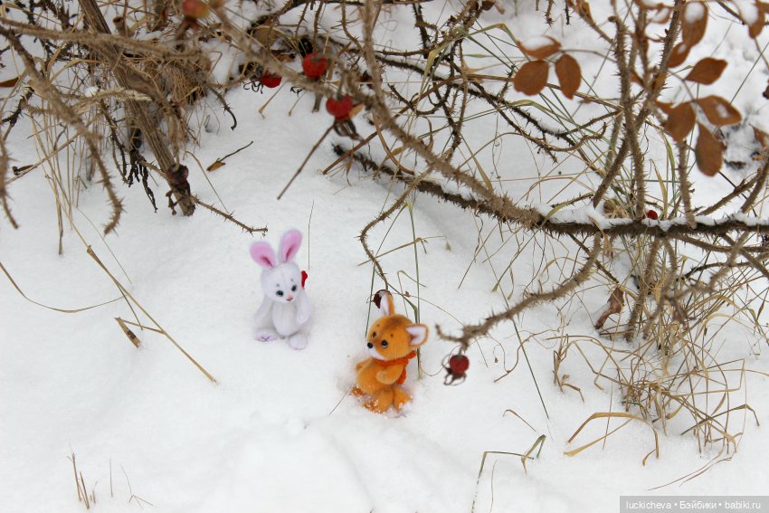 Зайчонок и Лисёнок встречают свою первую зиму | Бэйбики Зайчонок и Лисёнок встречают свою первую зиму (фото 3)