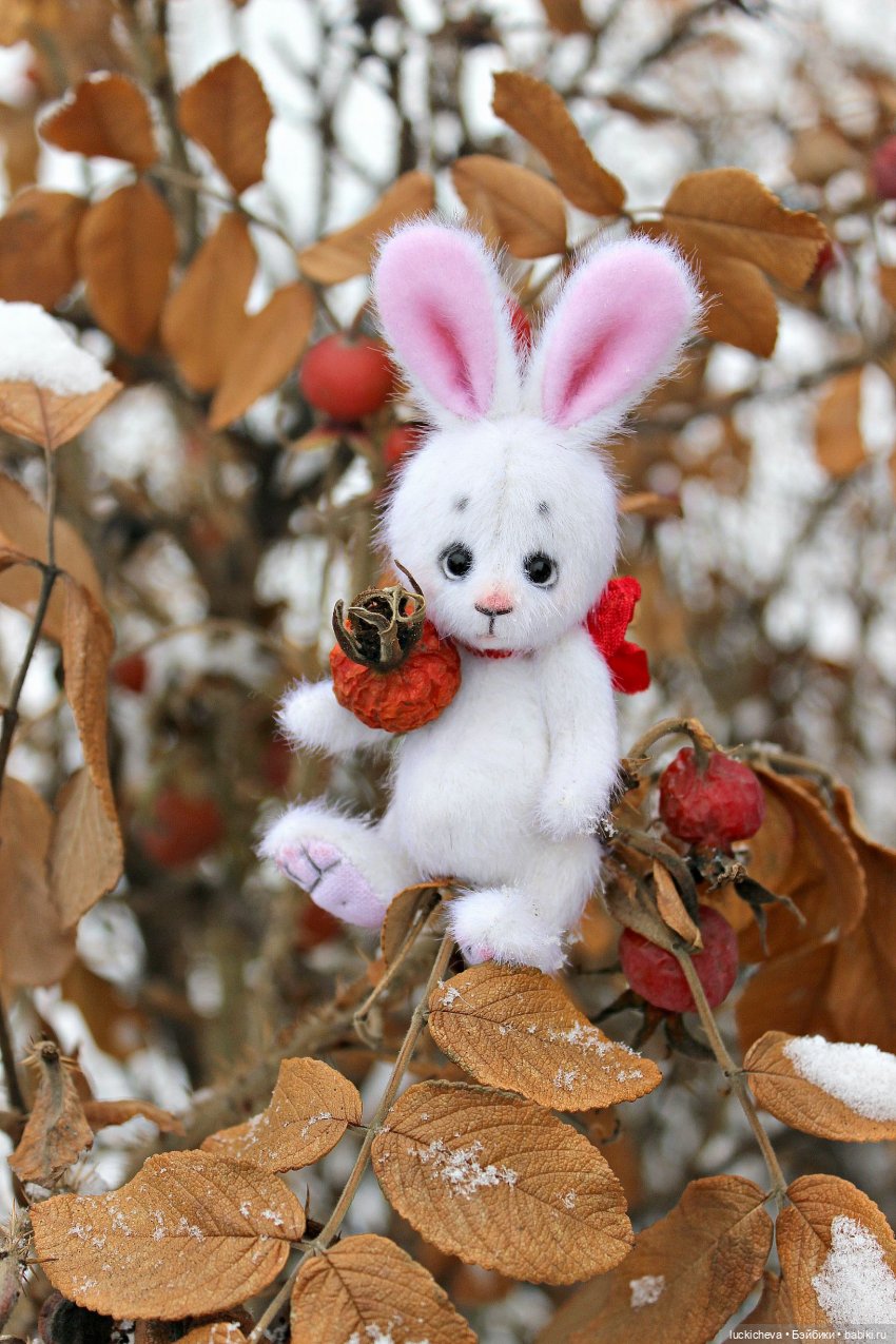 Зайчонок и Лисёнок встречают свою первую зиму | Бэйбики Зайчонок и Лисёнок встречают свою первую зиму