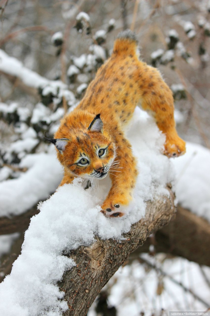 Файлин и её Новогоднее чудо (фото 5)