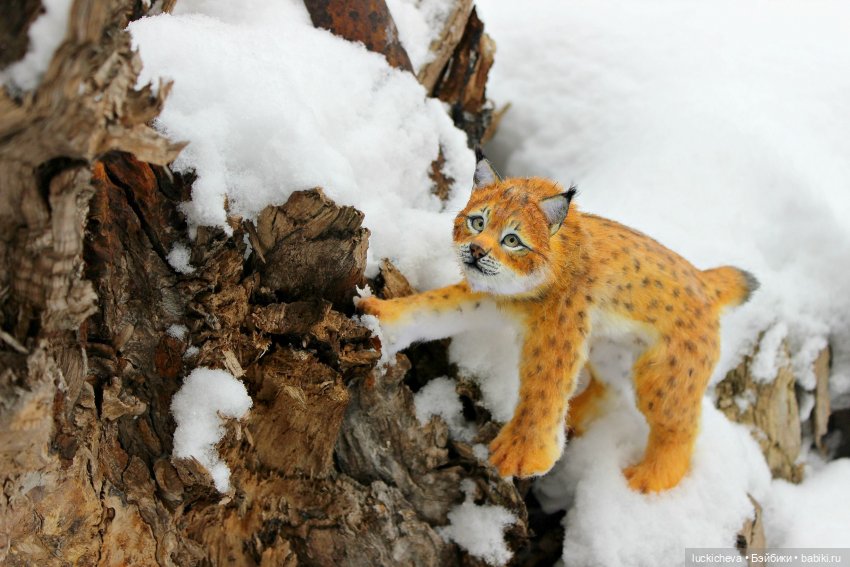 Файлин и её Новогоднее чудо (фото 3)