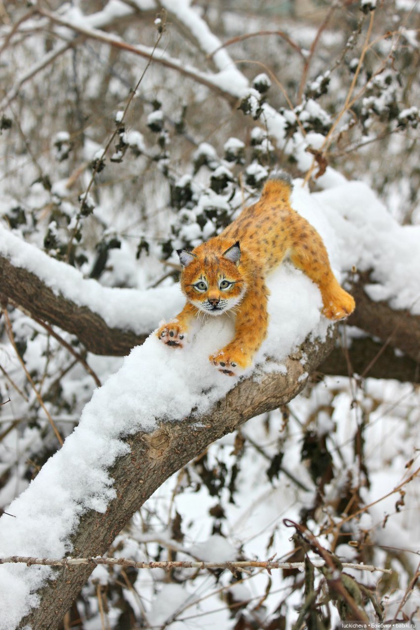 Файлин и её Новогоднее чудо (фото 4)