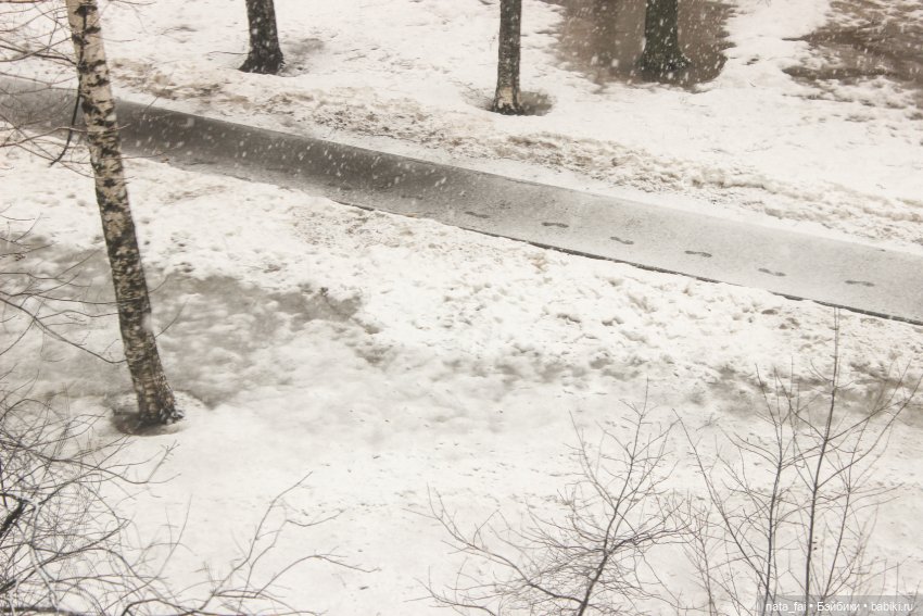 Файлин и апрельский снег — Гибридизация кукол BJD (БЖД): пересадка головы (фото 5)