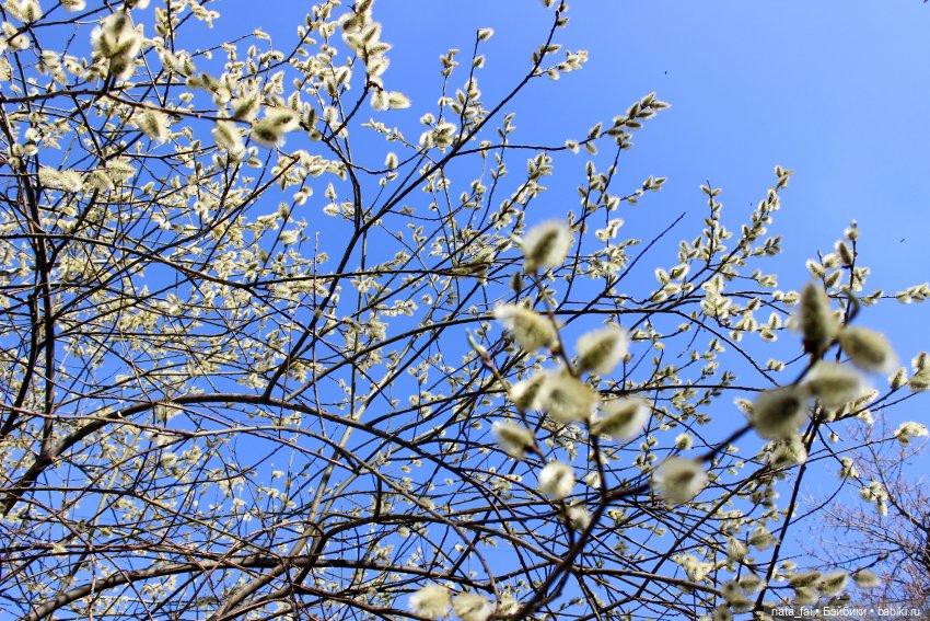 Файлин и городская ива — Гибридизация кукол BJD (БЖД): пересадка головы
