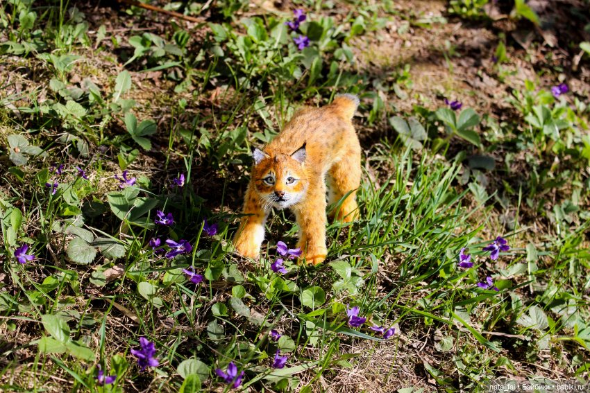 Файлин, рыська и первый весенний букет