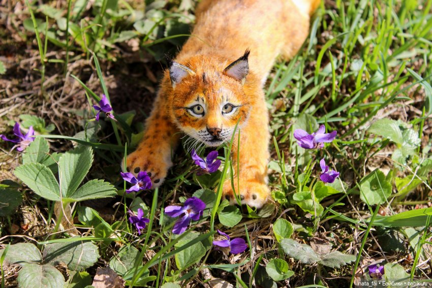 Файлин, рыська и первый весенний букет (фото 2)