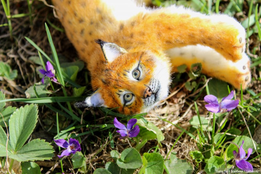 Файлин, рыська и первый весенний букет (фото 7)