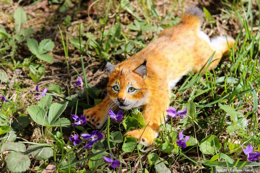 Файлин, рыська и первый весенний букет (фото 4)