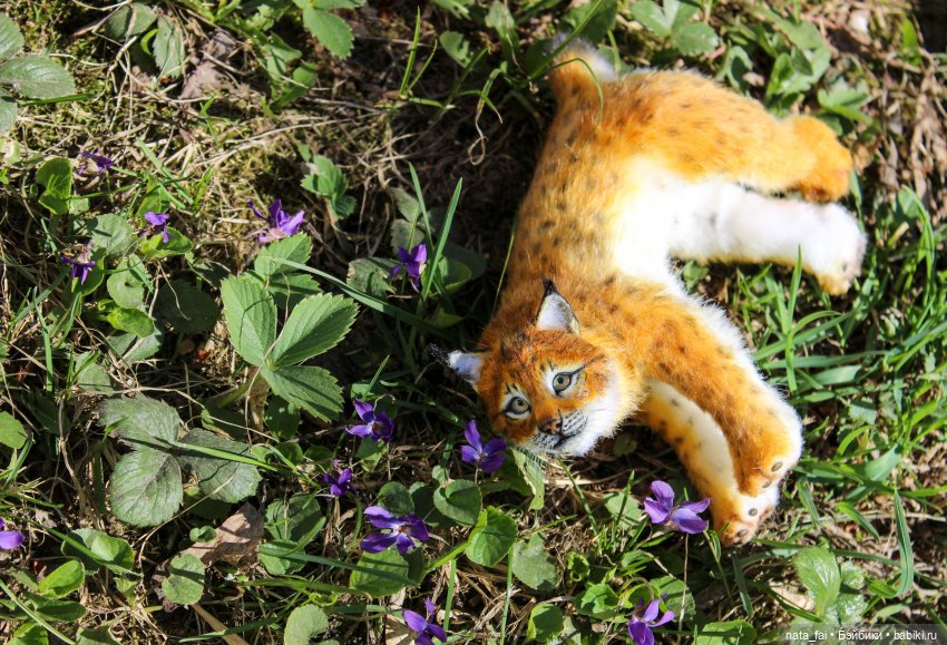 Файлин, рыська и первый весенний букет (фото 9)