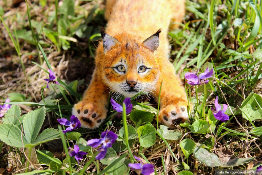 Файлин, рыська и первый весенний букет (фото 3)