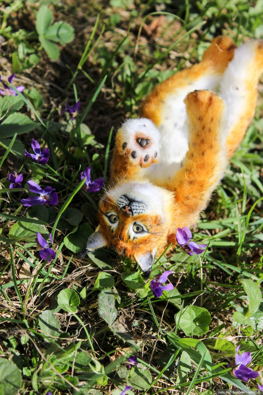 Файлин, рыська и первый весенний букет (фото 10)