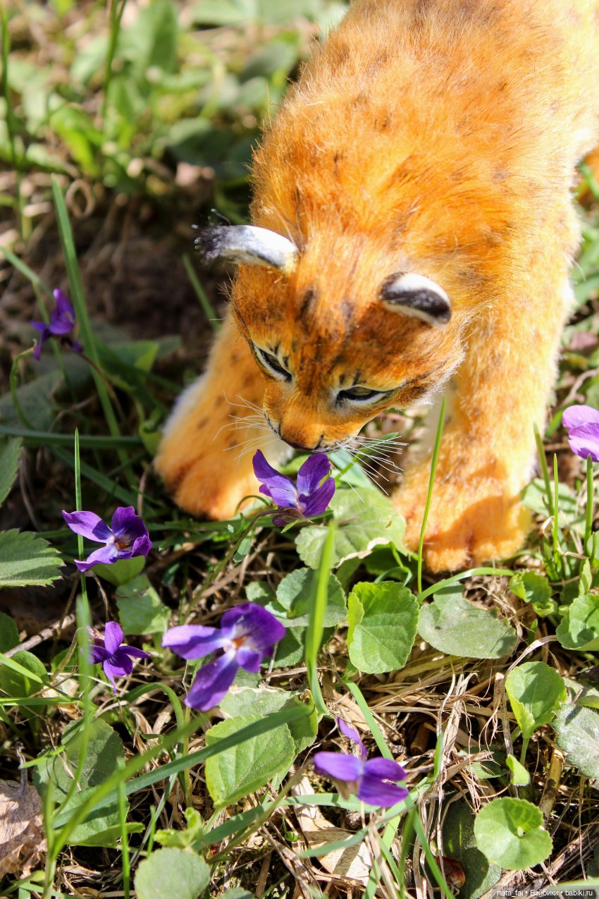 Файлин, рыська и первый весенний букет