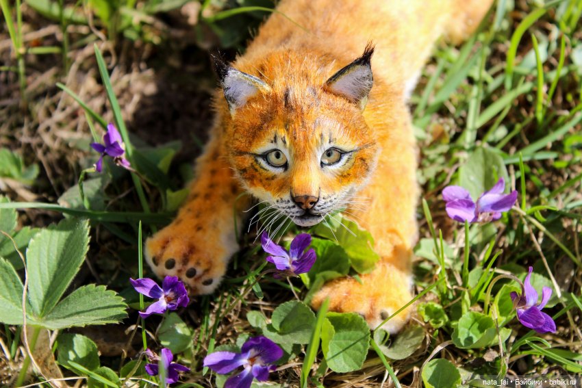 Файлин, рыська и первый весенний букет (фото 5)