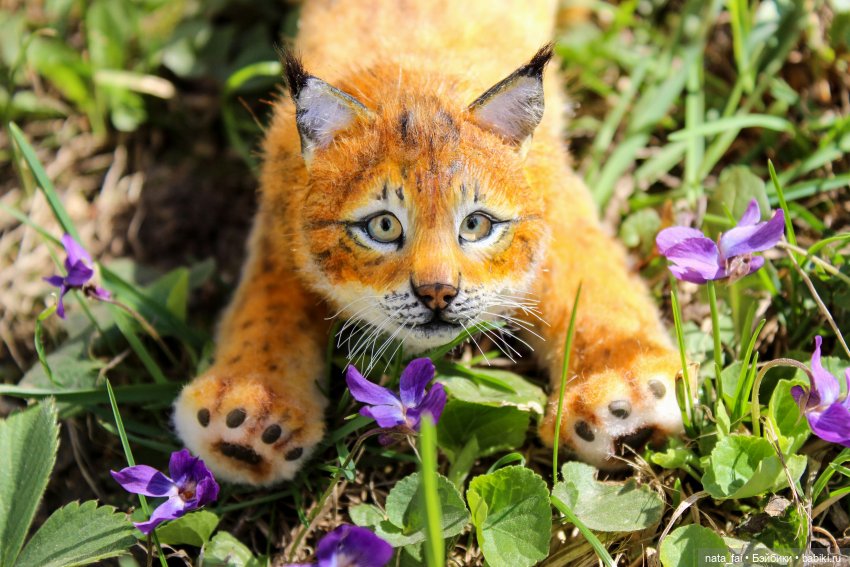 Файлин, рыська и первый весенний букет (фото 6)