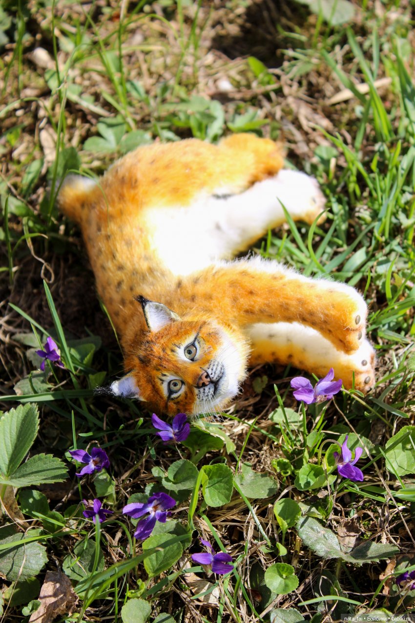 Файлин, рыська и первый весенний букет (фото 8)