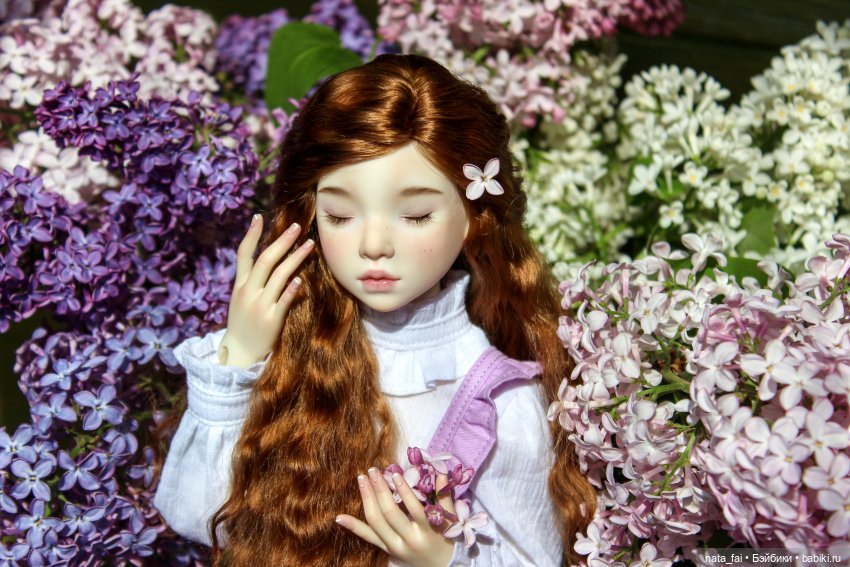 Файлин и сиреневые воспоминания (фото 4)