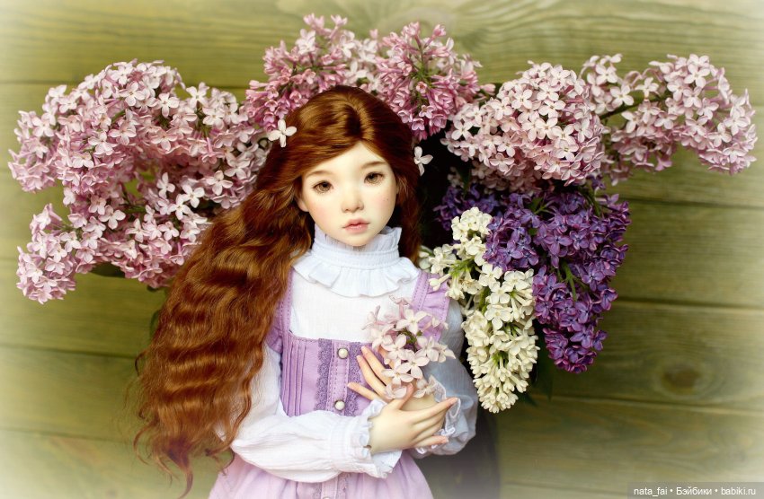 Файлин и сиреневые воспоминания (фото 5)