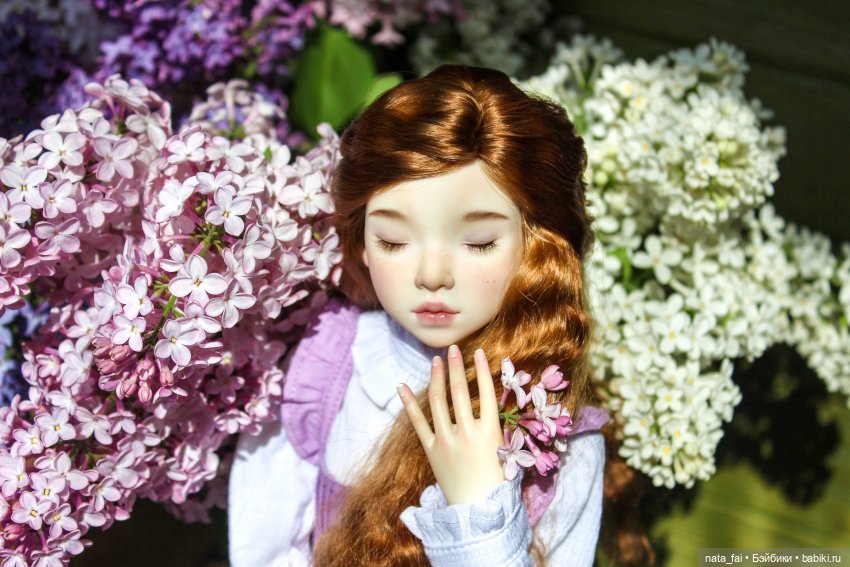 Файлин и сиреневые воспоминания (фото 2)