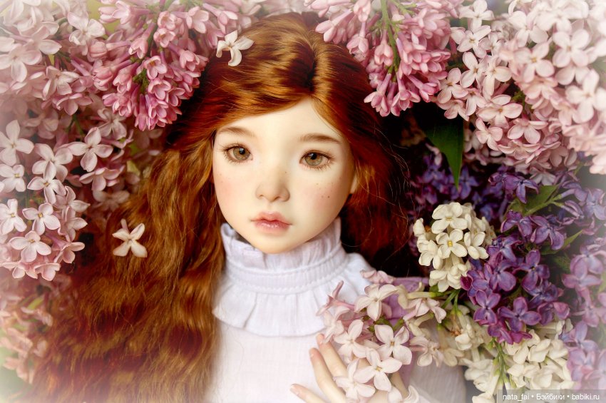 Файлин и сиреневые воспоминания (фото 6)