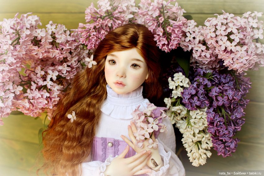 Файлин и сиреневые воспоминания (фото 7)