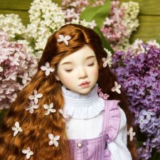 Файлин и сиреневые воспоминания