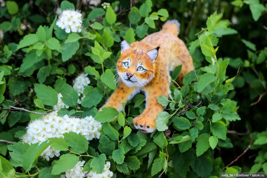 Файлин и почти летний вечер