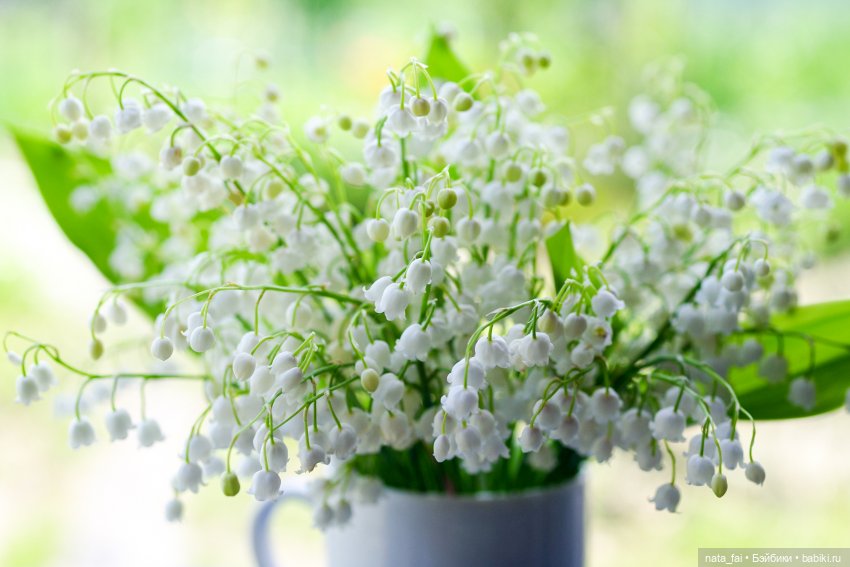 Файлин и ландышевое утро — Гибридизация кукол BJD (БЖД): пересадка головы (фото 2)