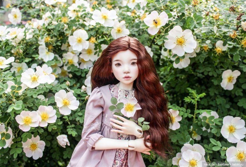 Файлин и царство шиповника