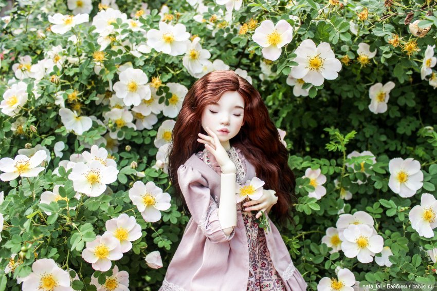 Файлин и царство шиповника