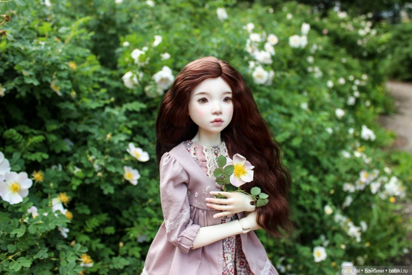 Файлин и царство шиповника