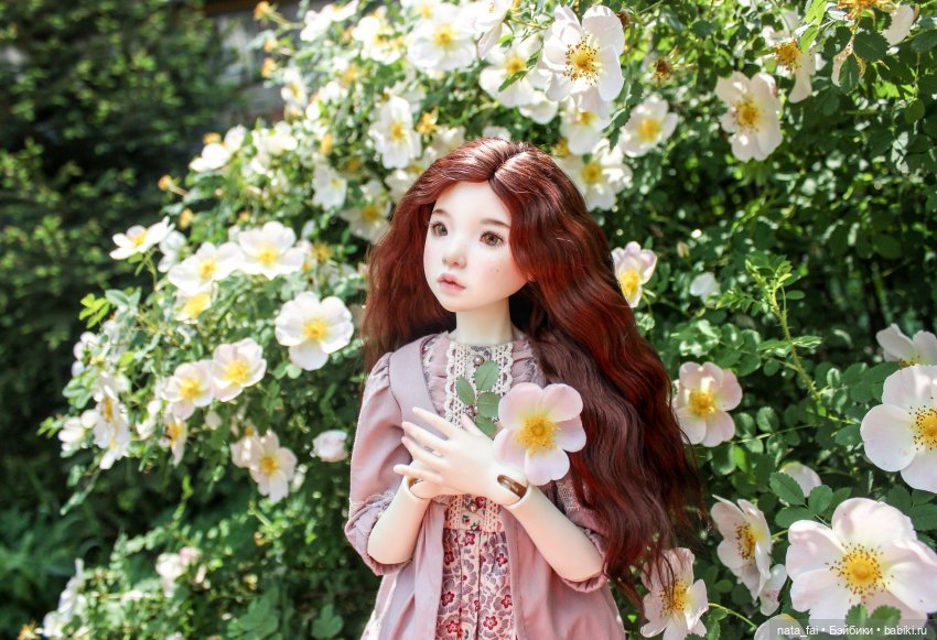 Файлин и царство шиповника