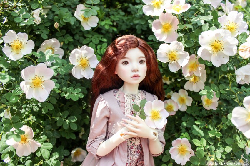 Файлин и царство шиповника