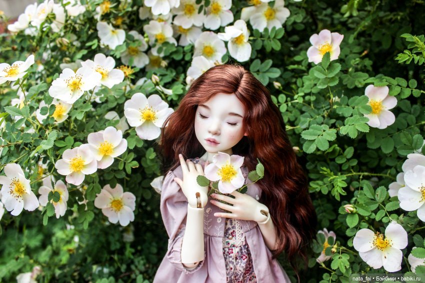 Файлин и царство шиповника