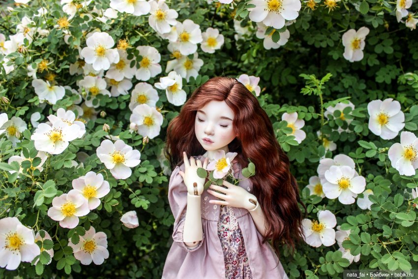 Файлин и царство шиповника