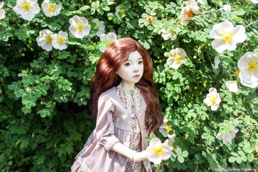 Файлин и царство шиповника