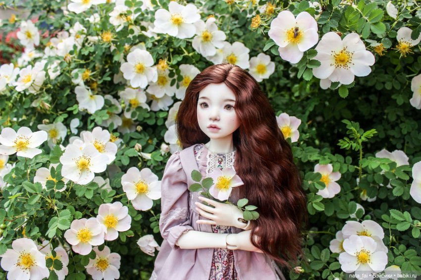 Файлин и царство шиповника