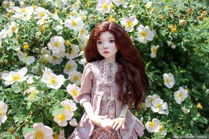 Файлин и царство шиповника (фото 9)