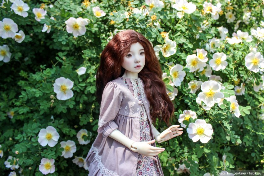 Файлин и царство шиповника (фото 7)