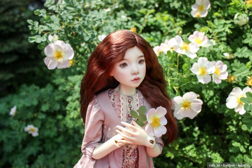 Файлин и царство шиповника