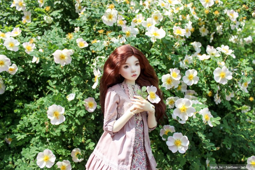 Файлин и царство шиповника