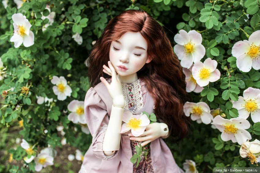 Файлин и царство шиповника