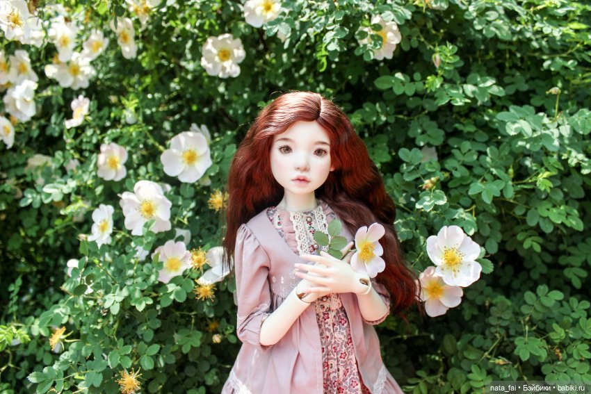 Файлин и царство шиповника